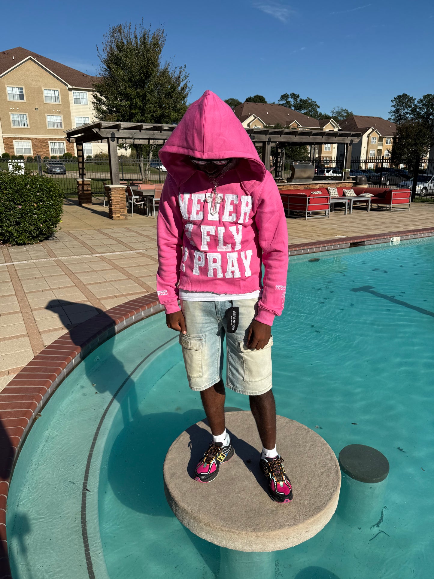 NEVER 2 FLY 2 PRAY (PINK) HOODIE
