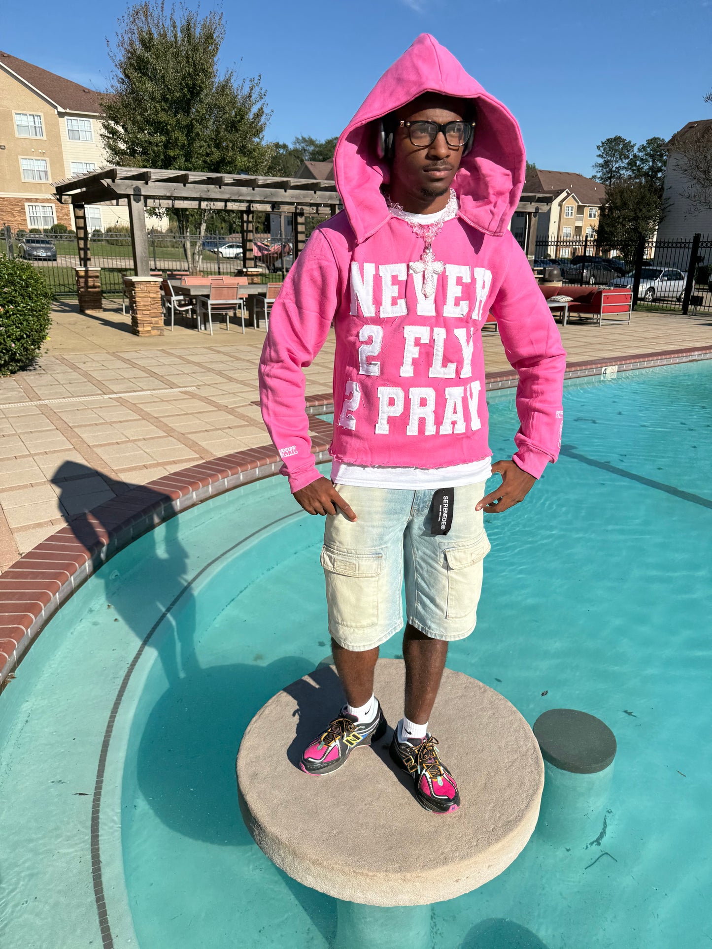 NEVER 2 FLY 2 PRAY (PINK) HOODIE